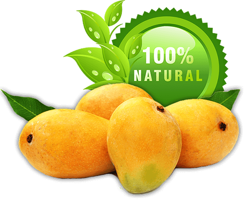 Buy best Alphonso mango online