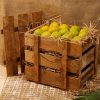 5 Dozen Premium Ratnagiri & Devgad Alphonso Mangoes Crate/Peti (60 Fruits)
